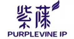 Purplevine IP logo
