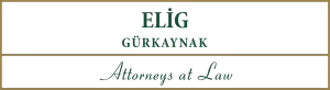 View ELIG Gürkaynak Attorneys-at-Law website