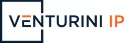 Venturini IP logo